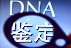 湖南省DNA鉴定正规的机构在什么地方，湖南省正规的亲子鉴定中心大概价格