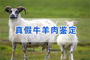 湖南省羊类动物鉴定